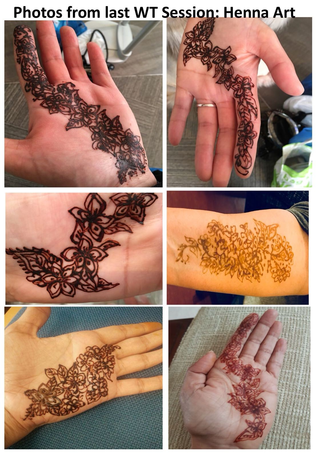 WT meeting photo Henna Art